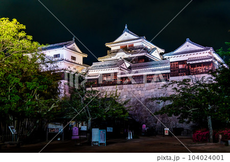 愛媛 松山城　～ライトアップされた天守群～ 104024001