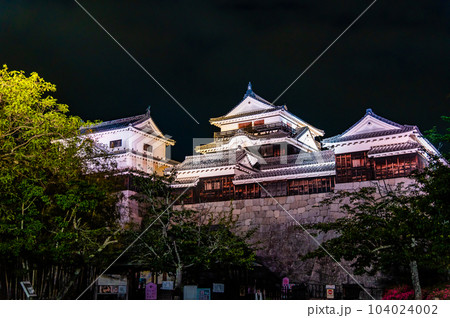 愛媛 松山城　～ライトアップされた天守群～ 104024002