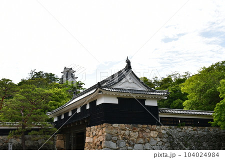 初夏の高知城　追手門　詰門　天守　本丸御殿　黒鉄門 104024984