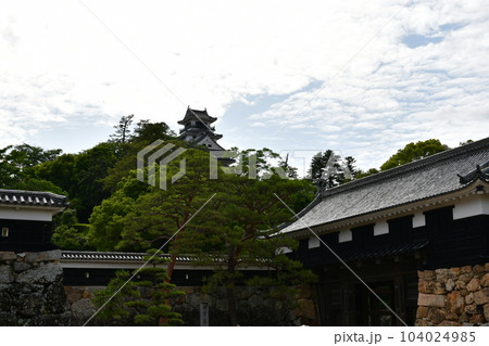 初夏の高知城　追手門　詰門　天守　本丸御殿　黒鉄門 104024985
