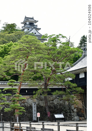 初夏の高知城　追手門　詰門　天守　本丸御殿　黒鉄門 104024986