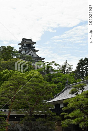 初夏の高知城　追手門　詰門　天守　本丸御殿　黒鉄門 104024987