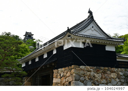 初夏の高知城　追手門　詰門　天守　本丸御殿　黒鉄門 104024997