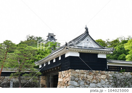 初夏の高知城　追手門　詰門　天守　本丸御殿　黒鉄門 104025000