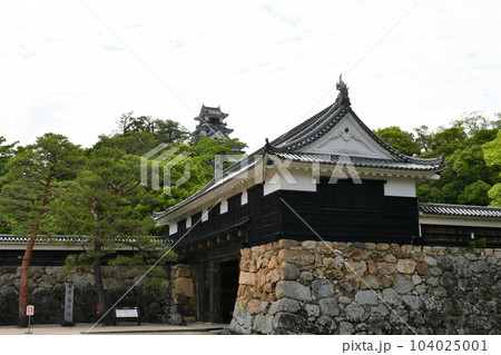 初夏の高知城　追手門　詰門　天守　本丸御殿　黒鉄門 104025001