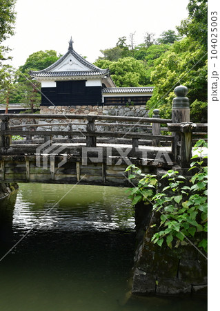 初夏の高知城　追手門　詰門　天守　本丸御殿　黒鉄門 104025003