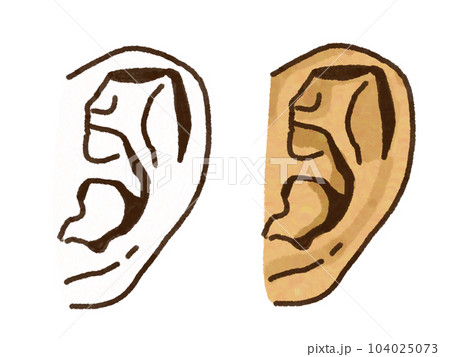 耳のイラスト 耳のイラスト 104025073