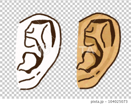 耳のイラスト 耳のイラスト 104025073