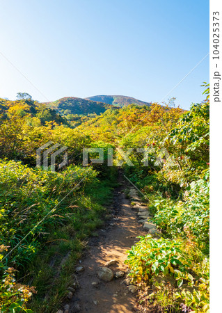 秋の栗駒山登山（産沼コース） 104025373