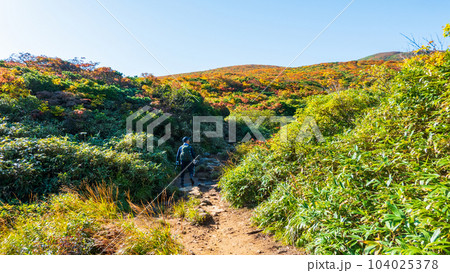 秋の栗駒山登山（産沼コース） 104025378