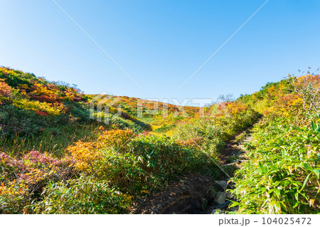 秋の栗駒山登山（産沼コース） 104025472