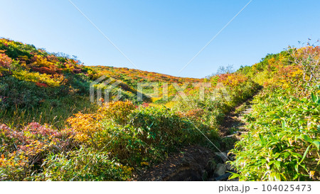 秋の栗駒山登山(産沼コース) 秋の栗駒山登山(産沼コース) 104025473
