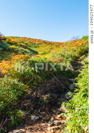 秋の栗駒山登山（産沼コース） 104025477