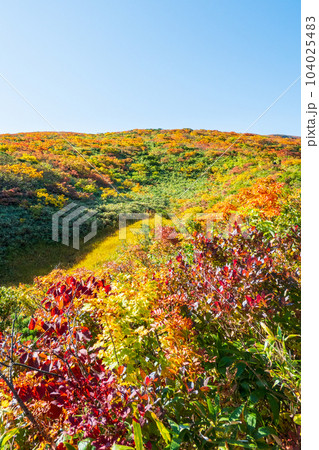 秋の栗駒山登山(産沼コース) 秋の栗駒山登山(産沼コース) 104025483