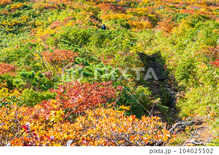 秋の栗駒山登山（産沼コース） 104025502
