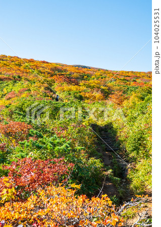 秋の栗駒山登山(産沼コース) 秋の栗駒山登山(産沼コース) 104025531