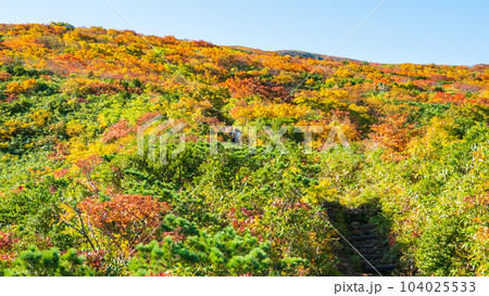 秋の栗駒山登山(産沼コース) 秋の栗駒山登山(産沼コース) 104025533