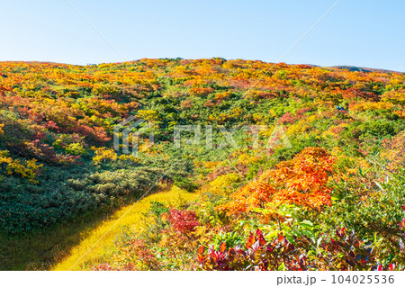 秋の栗駒山登山（産沼コース） 104025536