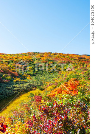 秋の栗駒山登山(産沼コース) 秋の栗駒山登山(産沼コース) 104025550