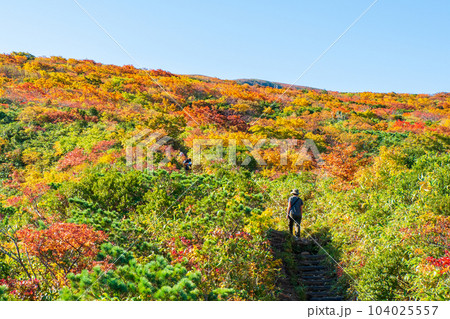秋の栗駒山登山（産沼コース） 104025557
