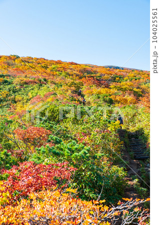 秋の栗駒山登山(産沼コース) 秋の栗駒山登山(産沼コース) 104025561