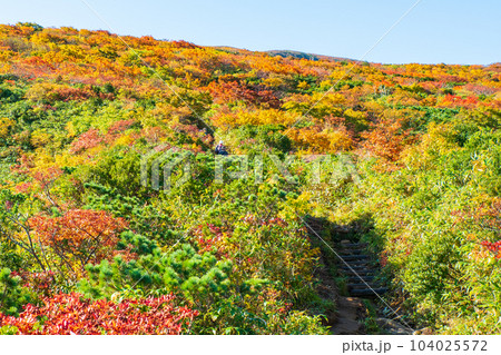秋の栗駒山登山(産沼コース) 秋の栗駒山登山(産沼コース) 104025572