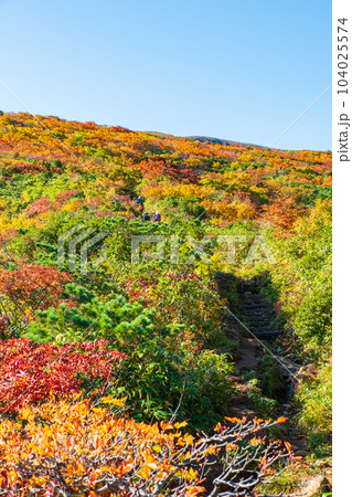 秋の栗駒山登山(産沼コース) 秋の栗駒山登山(産沼コース) 104025574
