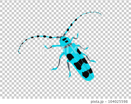 Ruri Boshikiki 104025598