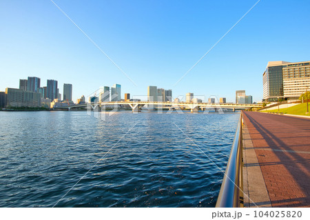 豊洲ぐるり公園 豊洲大橋と高層マンションの風景 104025820