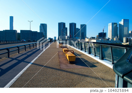 豊洲ぐるり公園 豊洲大橋と高層マンションの風景 豊洲ぐるり公園 豊洲大橋と高層マンションの風景 104025894