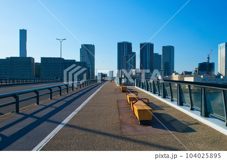 豊洲ぐるり公園 豊洲大橋と高層マンションの風景 豊洲ぐるり公園 豊洲大橋と高層マンションの風景 104025895