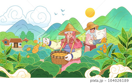Tea farmers fertilizing field Tea farmers fertilizing field 104026189