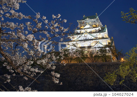 大阪城夜桜ライトアップ　西の丸庭園 104027024