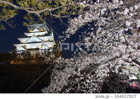 大阪城夜桜ライトアップ　西の丸庭園 104027027