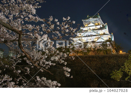 大阪城夜桜ライトアップ　西の丸庭園 104027028