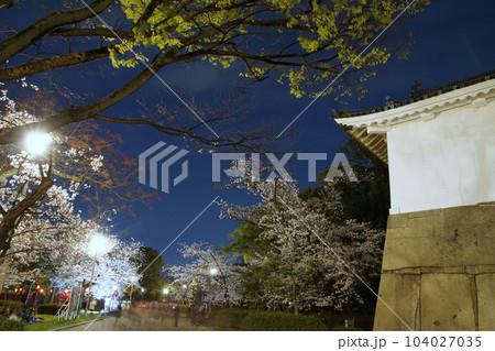 大阪城　多門櫓　夜桜 104027035