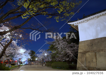 大阪城　多門櫓　夜桜 104027036