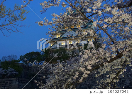 大阪城夜桜ライトアップ　西の丸庭園 104027042