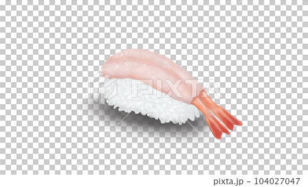 Sweet shrimp nigiri sushi realistic illustration 104027047