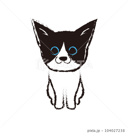 正面を向いてお座りしているハチワレ猫 正面を向いてお座りしているハチワレ猫 104027238