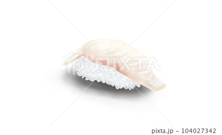 ひらめの握り寿司　リアルイラスト 104027342