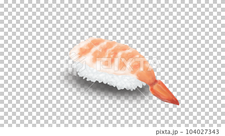 海老の握り寿司　リアルイラスト 104027343