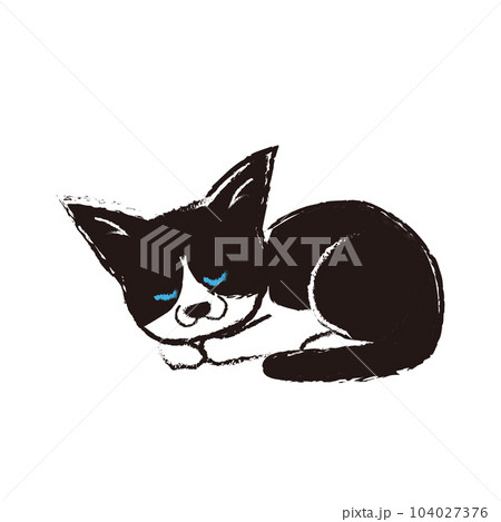 丸くなって寝ている猫 丸くなって寝ている猫 104027376