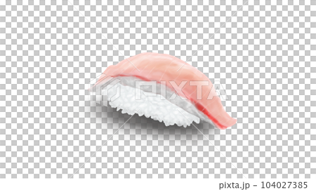 Hamachi nigiri sushi realistic illustration Hamachi nigiri sushi realistic illustration 104027385
