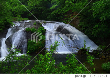 夏の釜淵の滝 夏の釜淵の滝 104027691