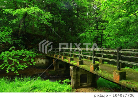 夏の釜淵の滝 夏の釜淵の滝 104027706
