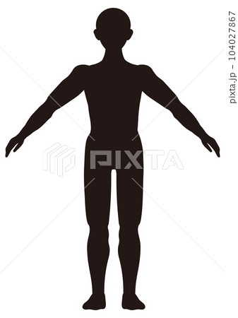 Human Body Silhouette High-Res Vector Graphic - Getty Images