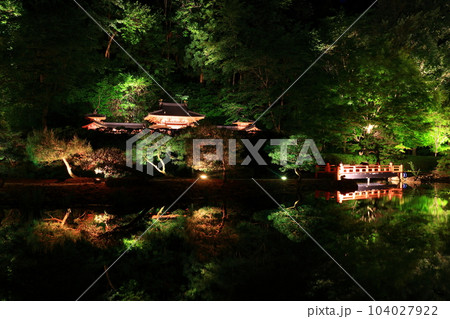 新緑のライトアップ 104027922