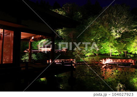 新緑のライトアップ 新緑のライトアップ 104027923