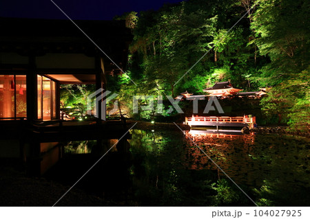 新緑のライトアップ 104027925